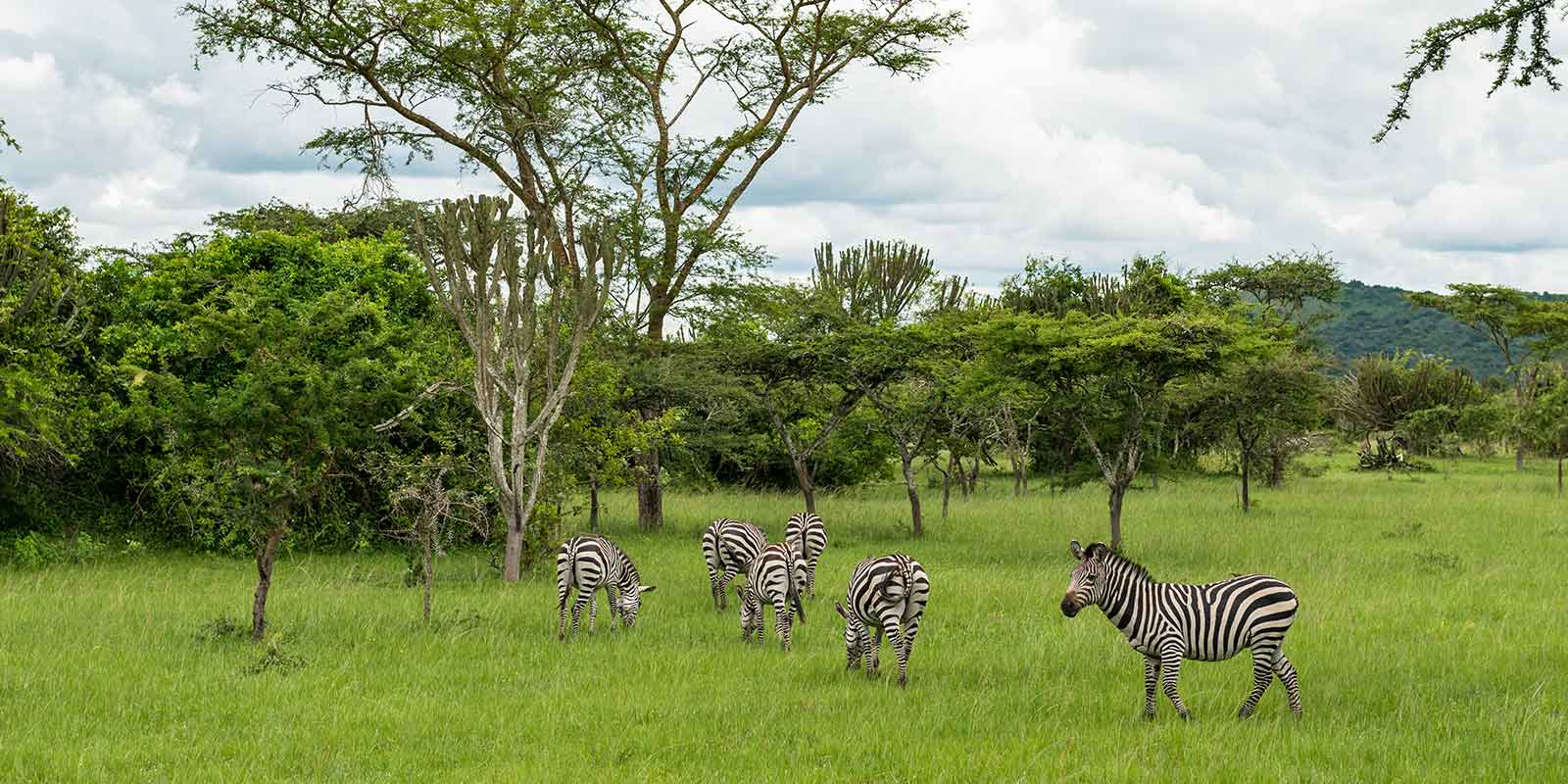 Lake Mburo National Park